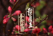 科学研究
